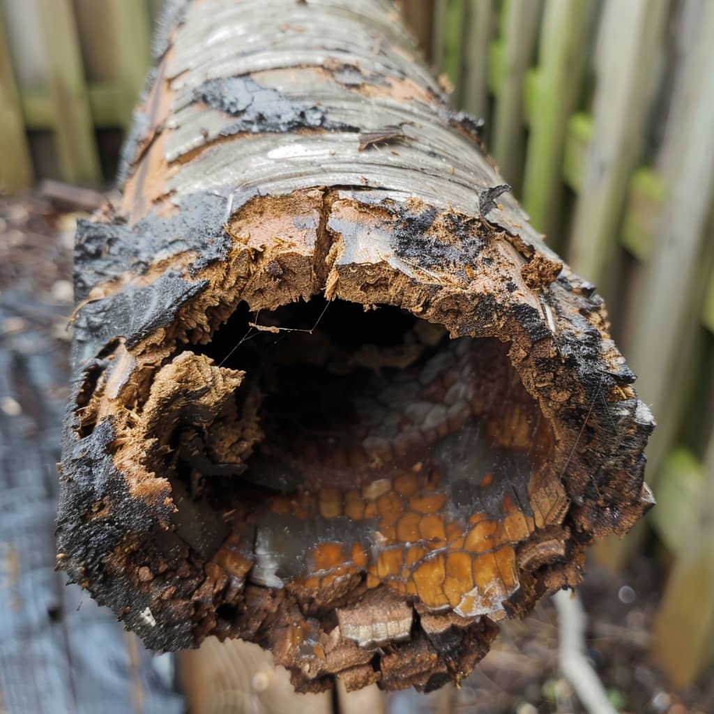 Example of a damaged pitch fiber pipe showing visible cracks and wear.