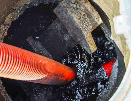 What Are the Signs That Your Septic Tank Is Full?