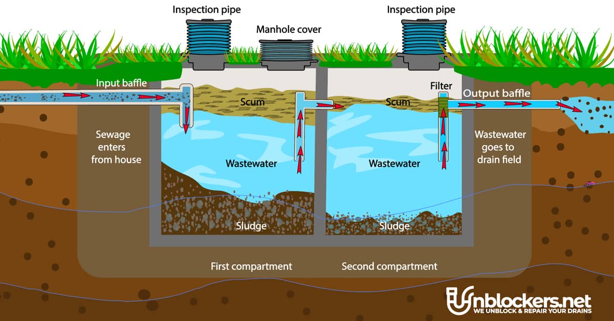 Diagram of a septic tank system showing wastewater flow, sludge buildup, and drainage.